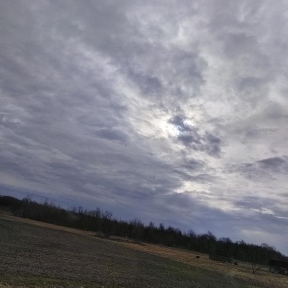 Meet your Posher, Lori - Picture 2 of 3